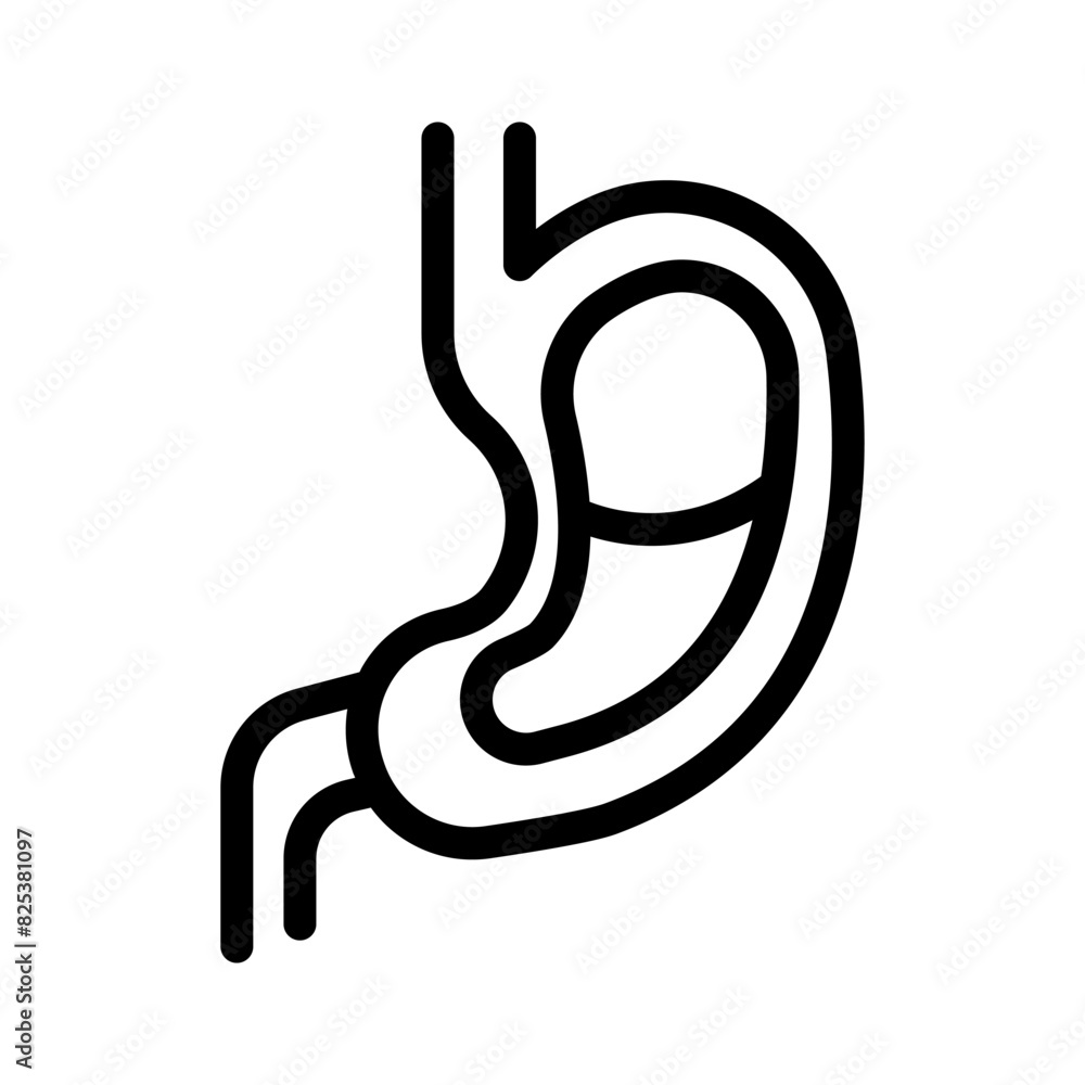 16 stomach line icon illustration vector graphic 16 stomach line icon illustration vector graphic