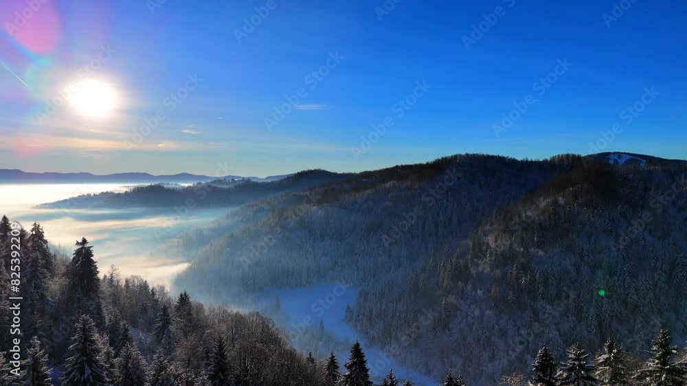 Shot of two roads running parallel to each other in a forest during a winter day. Shot of two roads running parallel to each other in a forest during a winter day.
