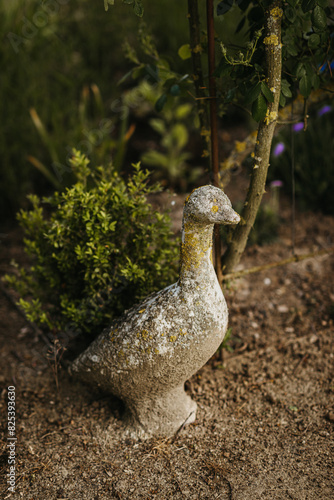 stone sculpture of a duck in the garden photo