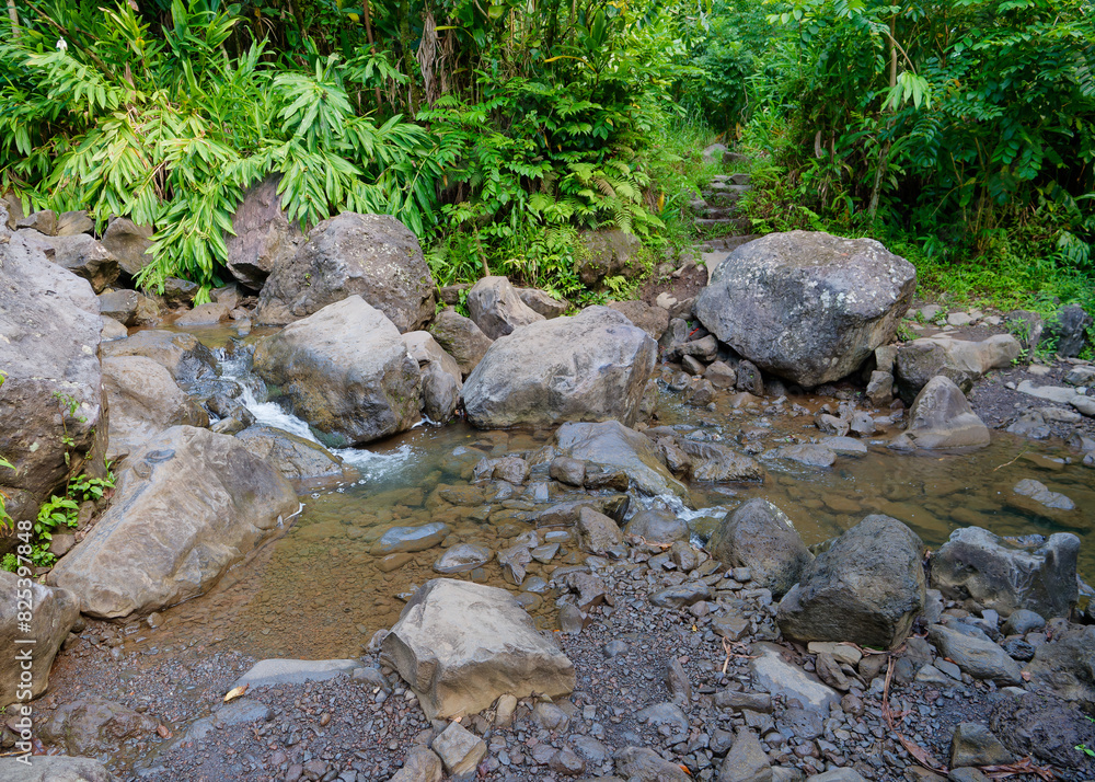 Creek flowing among rocks. Pipiwai trail hike in the Haleakala National Park, Hawaii Creek flowing among rocks. Pipiwai trail hike in the Haleakala National Park, Hawaii