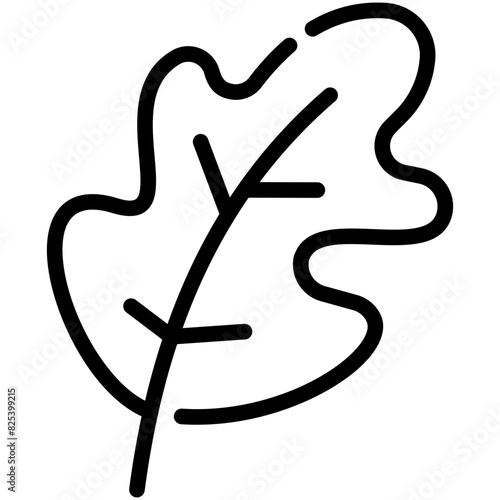 arugula line icon