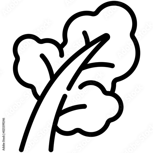 kale line icon