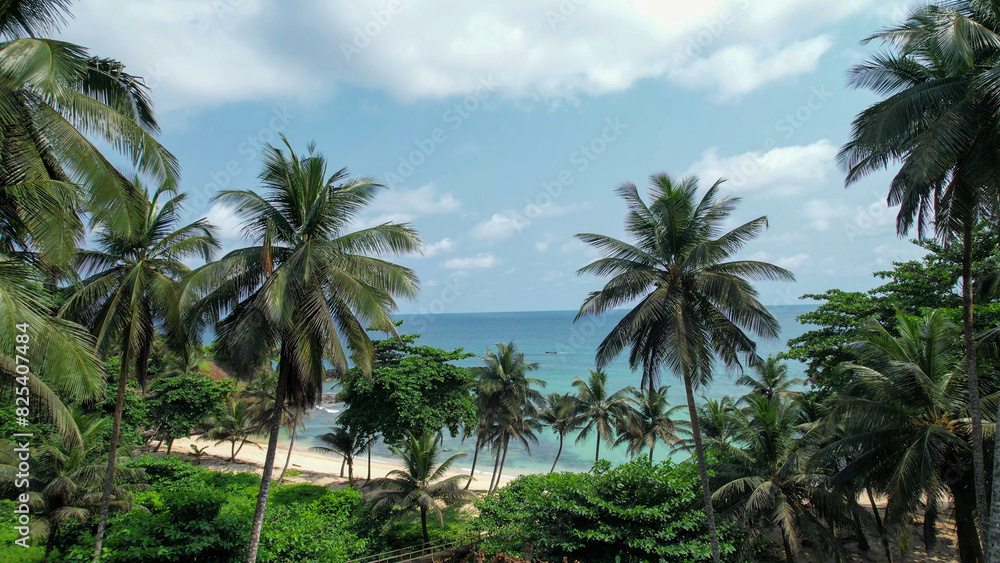 Palm trees on beach by water in Sao Tome and Principe, Africa