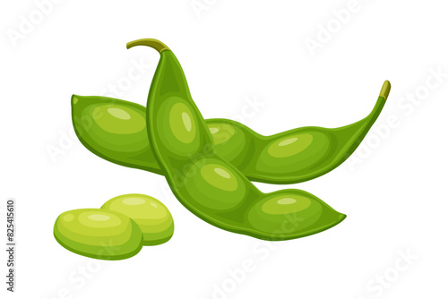 edamame beans isolated on white background. Vector eps 10. perfect for wallpaper or design elements