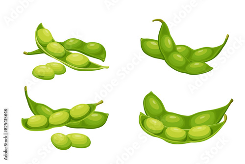 Soybean pods, edamame beans vector illustration for ad soy product.eps 10. perfect for wallpaper or design elements
