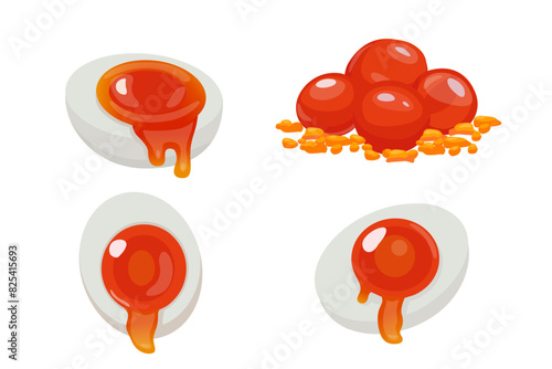 Realistic salted egg yolk dripping, vector illustration and design.on white background. Vector eps 10.
