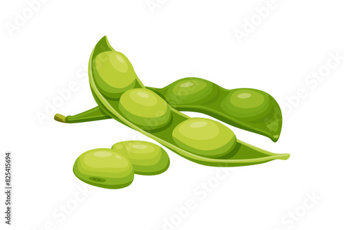 Soybean pods, edamame beans vector illustration for ad soy product.eps 10. perfect for wallpaper or design elements