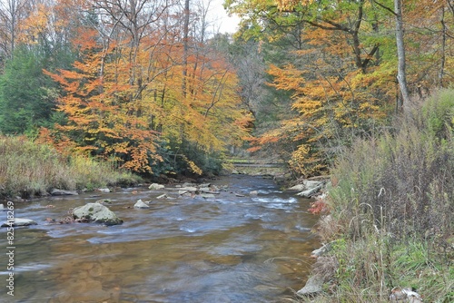 Autumn forest with a calm river surrounded by colorful trees in Bear Creek, Garrett County Maryland