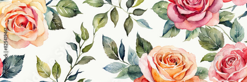 Watercolor roses on a white background. Banner. photo