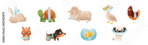 Sick Baby Animal with Bandage Injury Vector Set