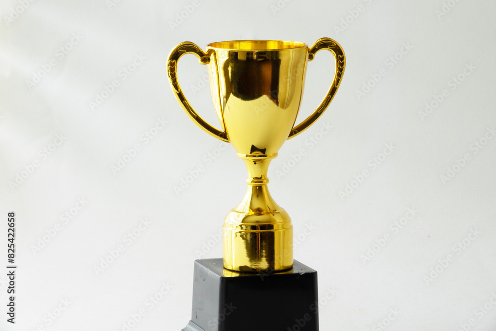 a gold trophy trophy on top of a black display stand a gold trophy trophy on top of a black display stand