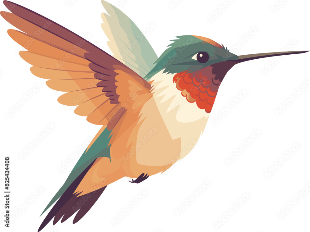 Obraz premium Vector of a hummingbird flying in midair