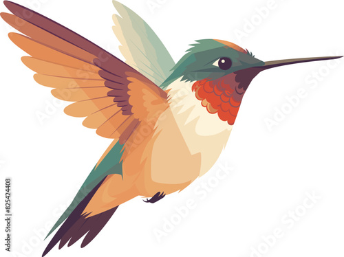 Vector of a hummingbird flying in midair