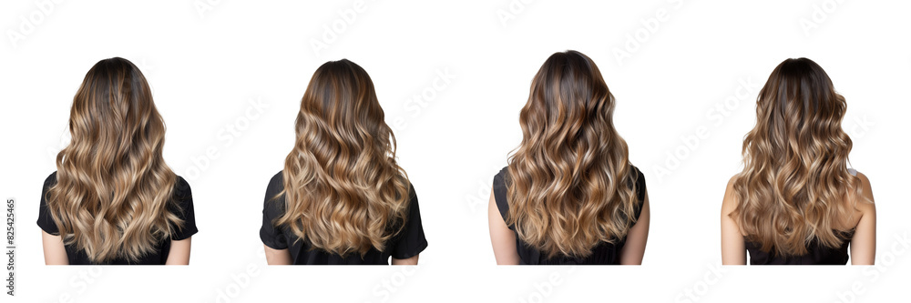 Fototapeta premium set of A a woman back sid with cascading wavy balayage hair, the glossy finish and color gradients captured perfectly in hig on a transparent backgrounds