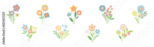 Smiling Flowers on Stalk with Petal and Green Leaf Vector Set