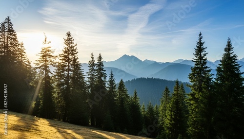 wald baume und berge landschaft silhouette photo