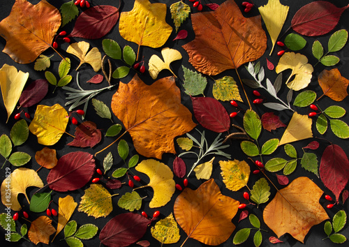 Leaves in the shade of the balustrade photo