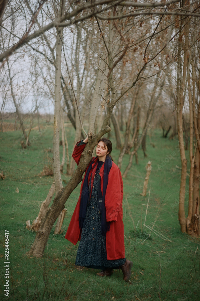portrait of a beautiful girl in a red cloak portrait of a beautiful girl in a red cloak