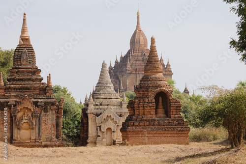 Bagan temples amidst trees photo