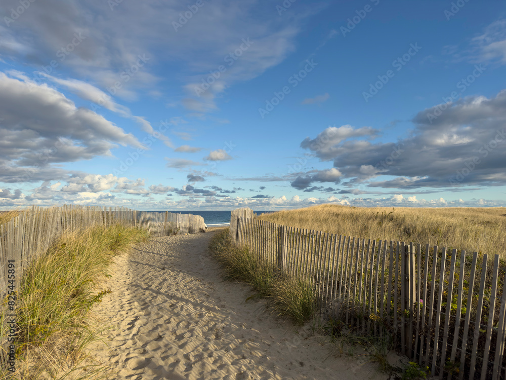 Massachusetts Beach fall landscape with path to beach Massachusetts Beach fall landscape with path to beach