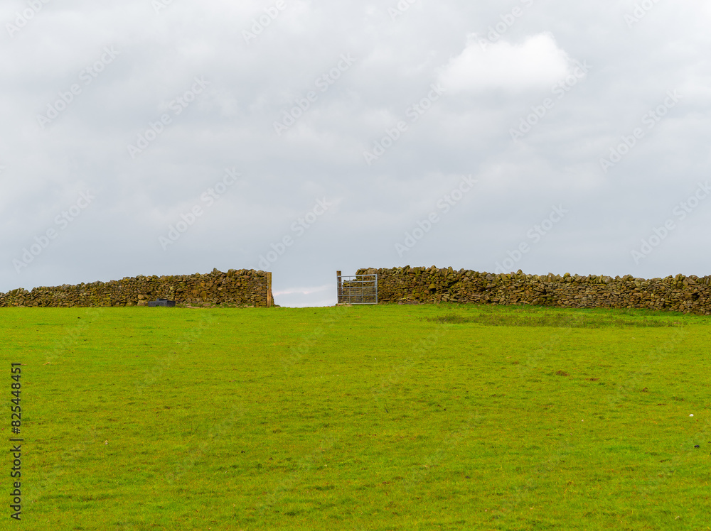 Serene countryside landscape with stone wall, gate, cloudy sky, and lush green grass in foreground