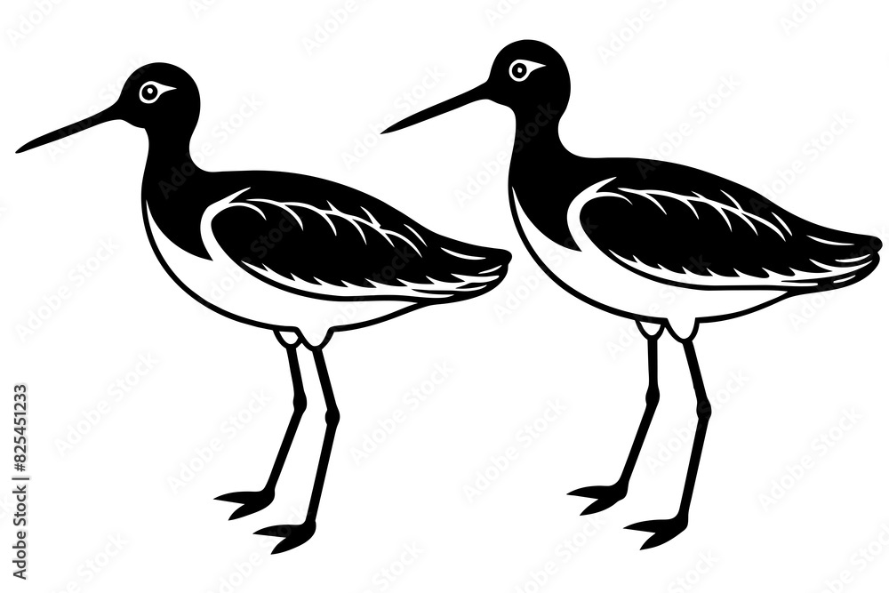 sandpiper bird vector silhouette illustration sandpiper bird vector silhouette illustration
