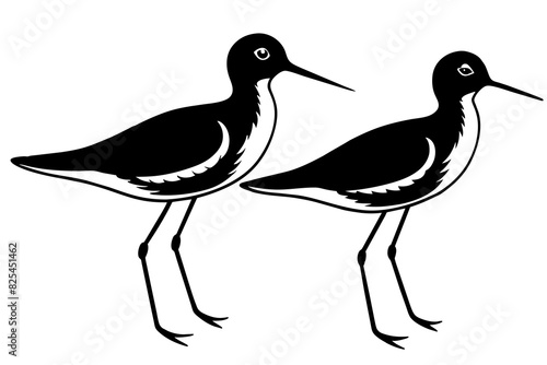 sandpiper bird vector silhouette illustration