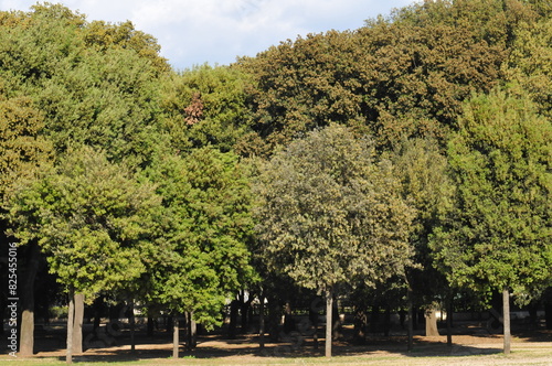scorci di Villa Borghese