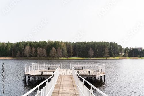 Footbridge In The Lake photo