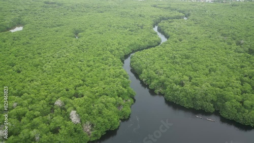 Cienada de la Caimanera Colombia Manglar caribe