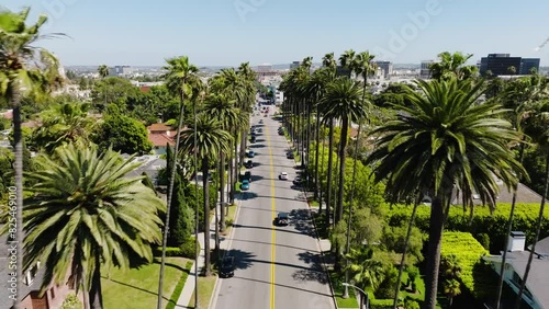 Beverly Hills Aerial 2024 - Flying low between palm trees and road, to rise to reveal Beverly Hills Shopping district 