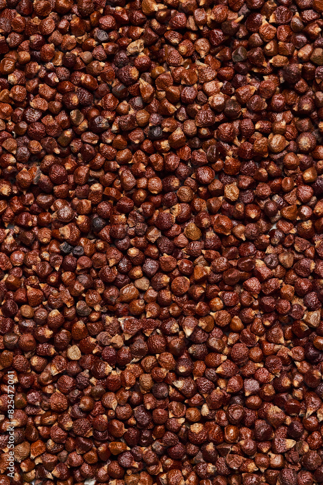 Grains of Paradise Grains of Paradise