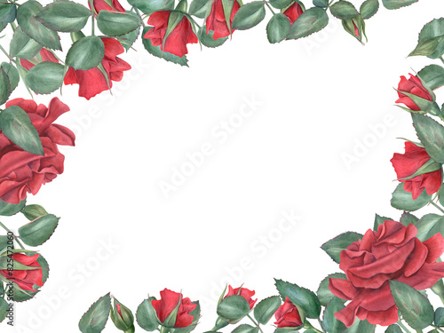 Vibrant red roses. Scarlet flowers with green leaves. Intertwining rose stems with bud. Blooming summer plant. Horizontal frame with empty space. Watercolor illustration. Memorial day, birthday design