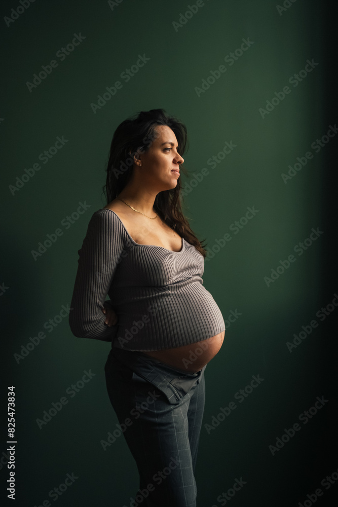 Beautiful Pregnant Woman Posing in Studio Beautiful Pregnant Woman Posing in Studio