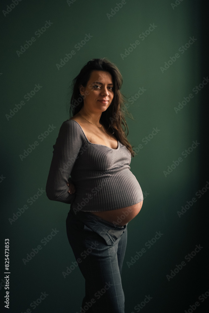Beautiful Pregnant Woman Posing in Studio Beautiful Pregnant Woman Posing in Studio