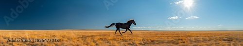 Blurry Photo of a Horse Running Through a Field