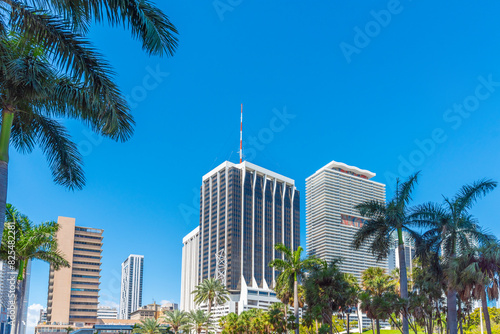 Skyscrapers and palm trees in downtown Miami