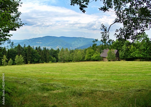 Fototapeta Naklejka Na Ścianę i Meble -  green meadow with a small wooden house, spring, Beskidy, Poland 