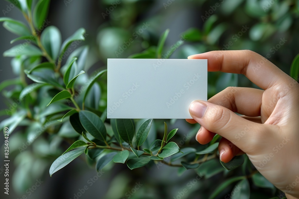 A hand holding a white card with a green leaf on it. The card is blank and could be used for a variety of purposes A hand holding a white card with a green leaf on it. The card is blank and could be used for a variety of purposes