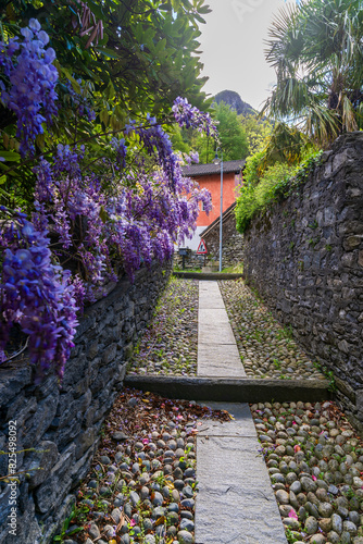 Avegno Village view in Ticino Region of Switzerland photo