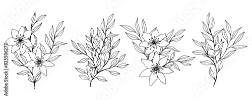 vector contour branch and leaves compositions. Elegant branches for decoration. hand drawing monochrome botanical illustration for backgrounds. Template for wedding cards and polygraph, logo, tattoo.