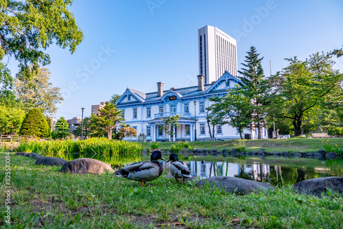 初夏の中島公園（北海道札幌市中央区）