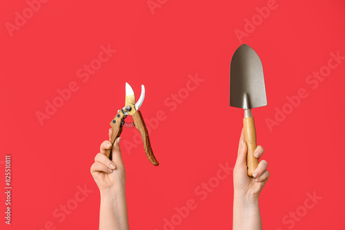 Female hands with gardening secateurs and shovel on red background photo