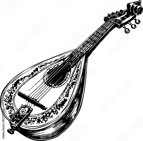 Detailed Black and White Illustration of a Mandolin