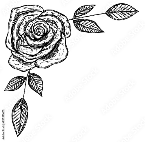 Floral corner frame with rose flower and leaves in hand drawn sketch style