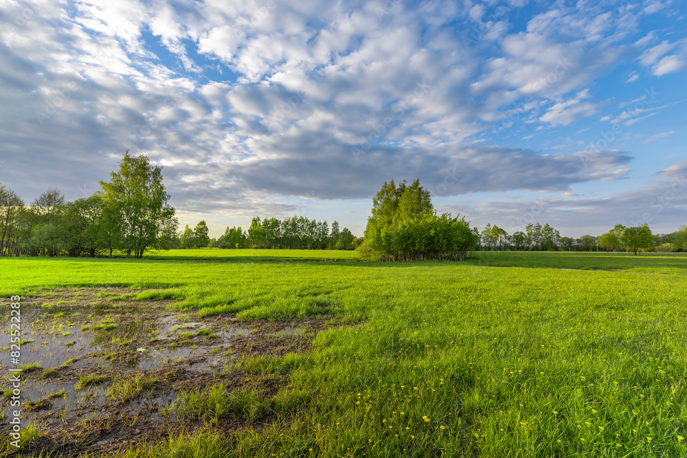 A large puddle in the middle of a field. Sunset sky, spring evening landscape, soft sunlight on the grass.