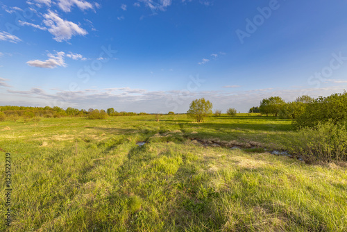 Evening landscape. Blue sky with clouds above the horizon. early spring in the countryside  soft sunlight on the grass.