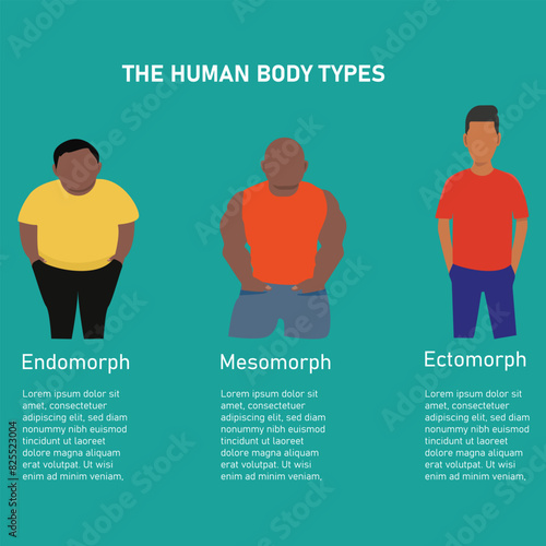 Vector illustration of the different body types
