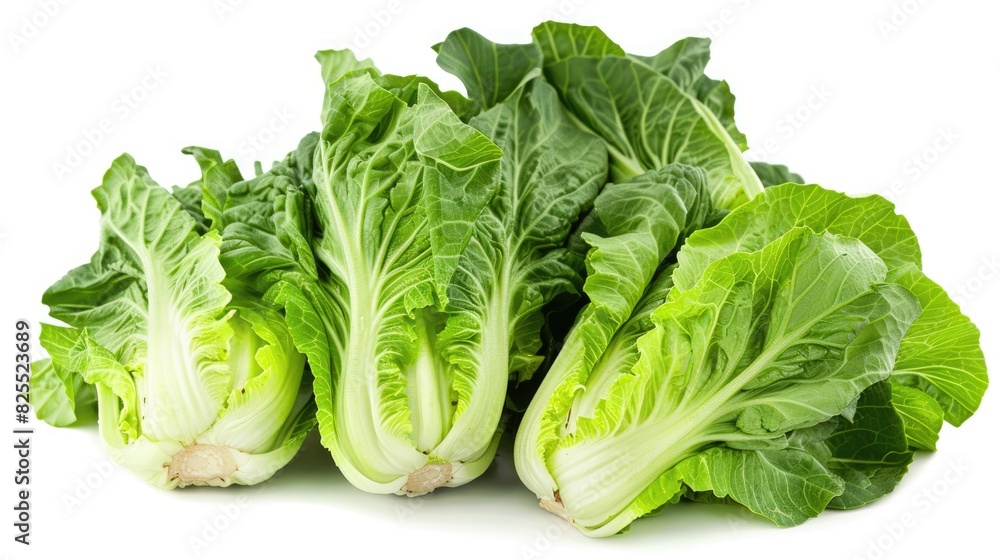 Leaf Lettuce. Fresh Green Vegetable Leaves, Baby Cos Cabbage on White Background Leaf Lettuce. Fresh Green Vegetable Leaves, Baby Cos Cabbage on White Background