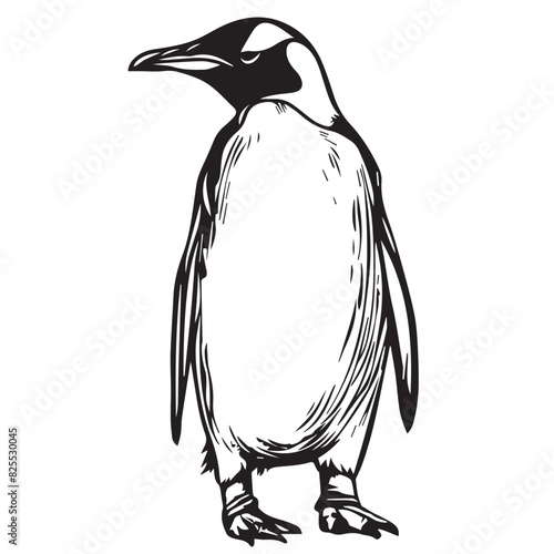 Penguin in cartoon, doodle style . Image for t-shirt, web, mobile apps and ui. Isolated 2d vector illustration in logo, icon, sketch style, Eps 10, black and white. AI Generative photo